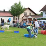 Bild 85