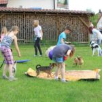 Bild 86