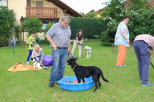 Bild 90
