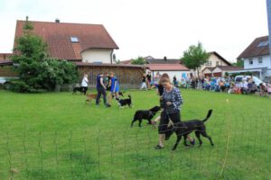 Bild 92