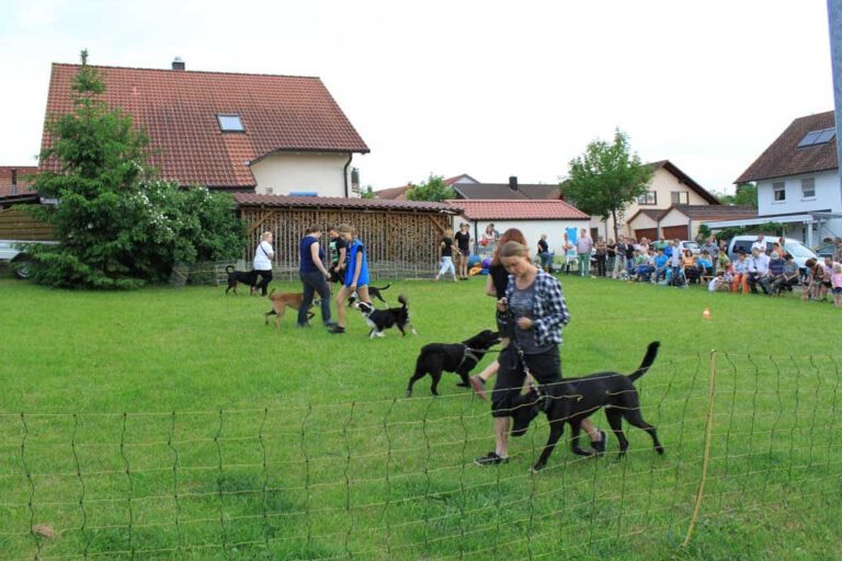 Bild 92