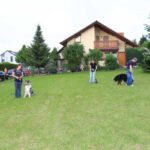 Bild 96
