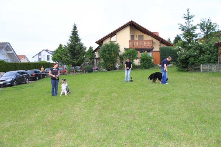 Bild 96