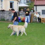 Bild 98