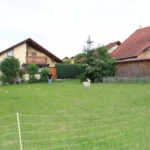 Bild 99