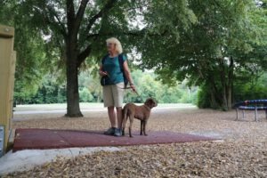 imgi_18_galerie-2018-enzauenpark-17-300x200