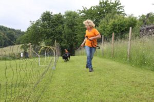 imgi_273_hunderennen-2016-25