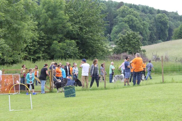 imgi_281_hunderennen-2016-33