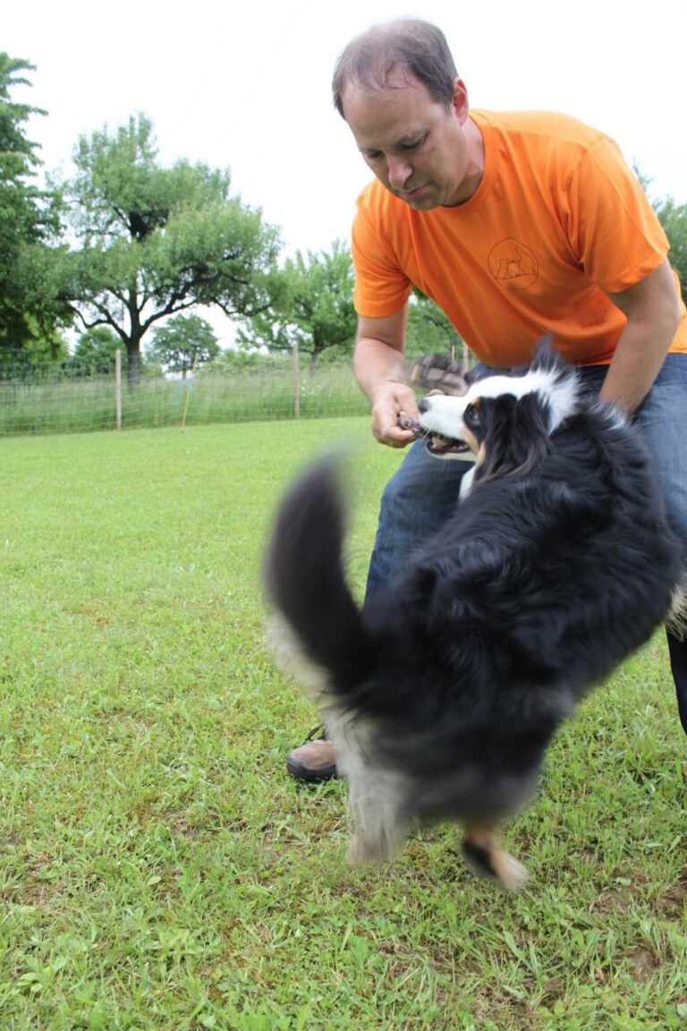 imgi_283_hunderennen-2016-35