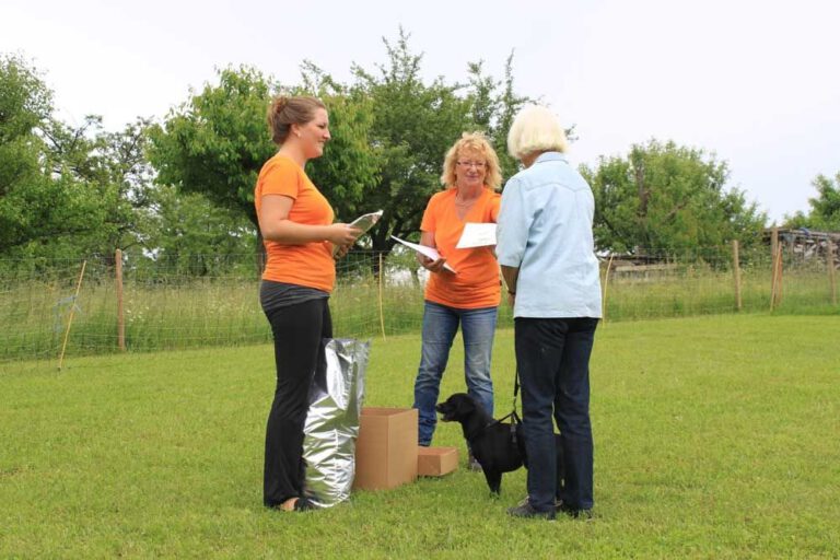 imgi_295_hunderennen-2016-47