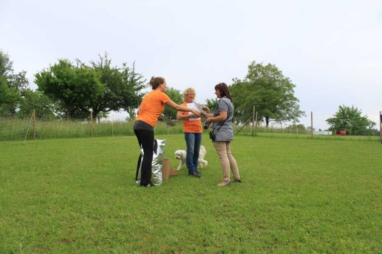 imgi_297_hunderennen-2016-49