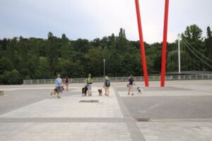 imgi_2_galerie-2018-enzauenpark-1-300x200