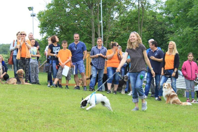 imgi_300_hunderennen-2016-52