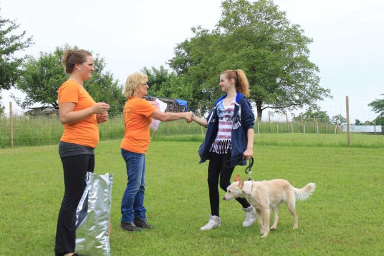 imgi_310_hunderennen-2016-62
