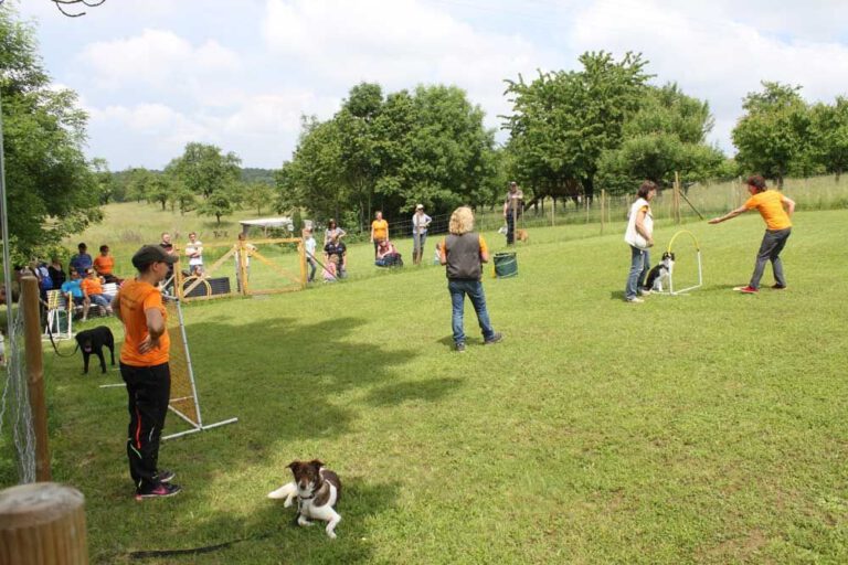 imgi_323_hunderennen-2016-75