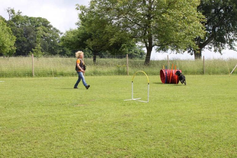 imgi_328_hunderennen-2016-80