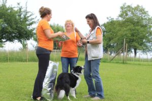 imgi_451_hunderennen-2016-56