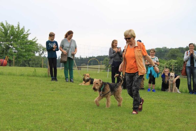 imgi_457_hunderennen-2016-59
