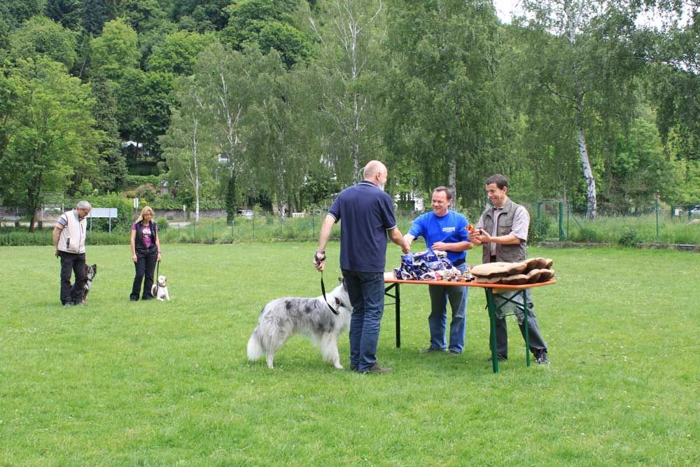 imgi_86_teamtest-ettlingen-2016-18
