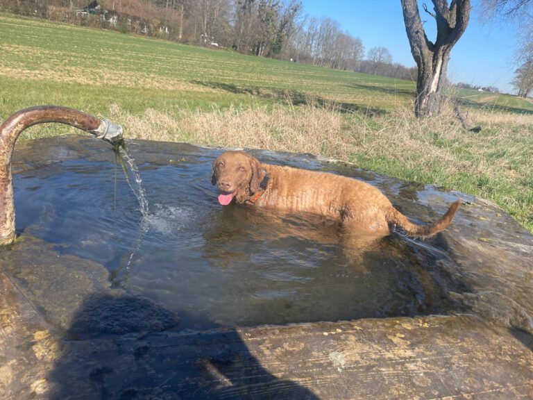 dd7d6504-ac4b-496d-b54c-fb3e8b50718b